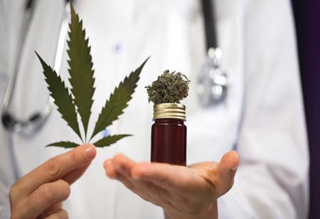 Crafting Cannabis: Innovations in Extraction Techniques